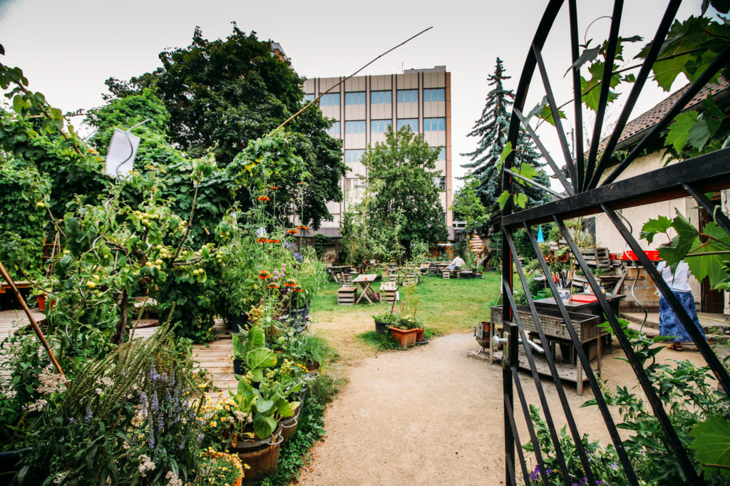 Essbare Klause Biergarten Darmstadt