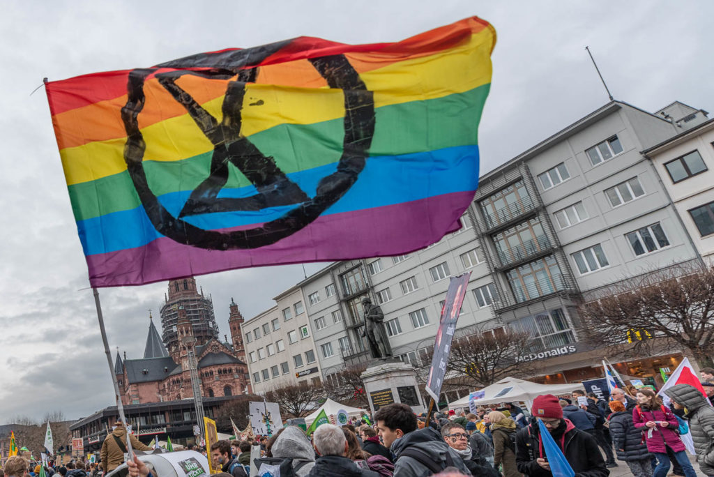 Extinction Rebellion Flagge Mainz