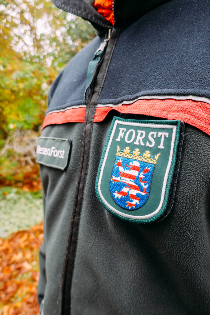 Förster Matthias Kalinka hat viele Lieblingsstellen im Darmstädter Wald